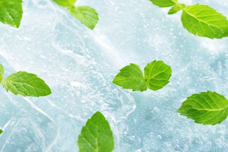 Le menthol frais procure une sensation de fraîcheur glaciale pour lutter contre la chaleur estivale.